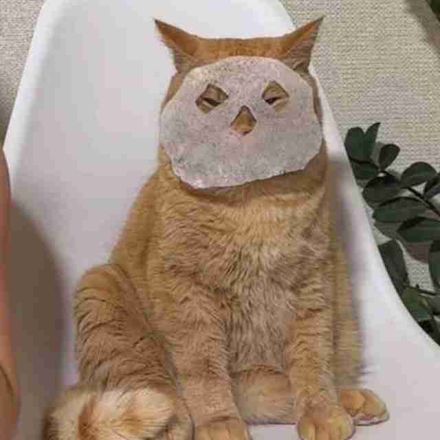 Gune (gune) Farcaster social identity (Fname handle) PFP