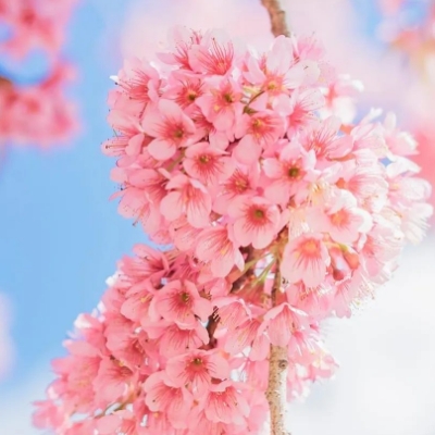 Jenniifeta (jenniifeta) Farcaster social identity (Fname handle) PFP