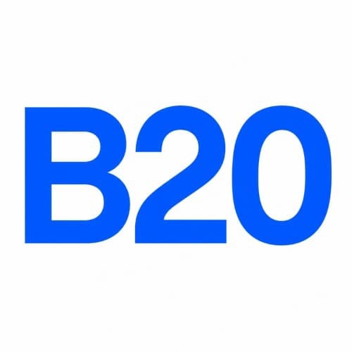 B20 Lite