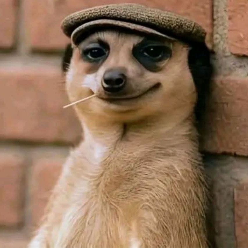 Olivia (onlinesupport35) Farcaster social identity (Fname handle) PFP