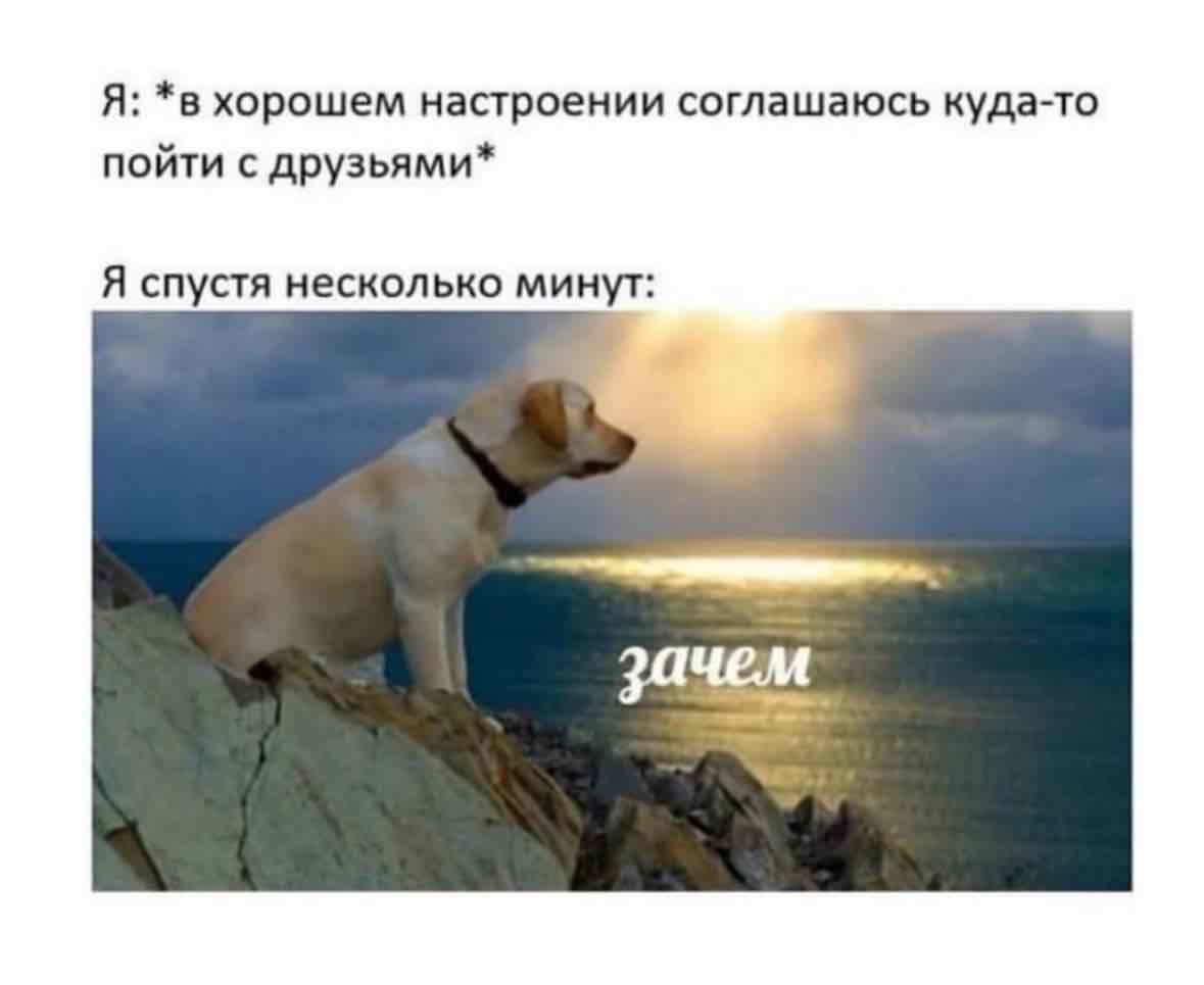 https://imagedelivery.net/BXluQx4ige9GuW0Ia56BHw/3054a8c6-b73e-4f4a-abe0-9d96be9f6800/original