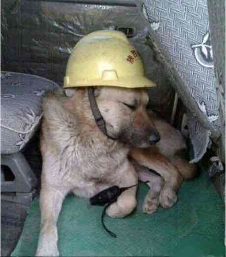 cl0901 ◱ ◱ (cl0901.lens) Lens social identity (.lens handle) PFP