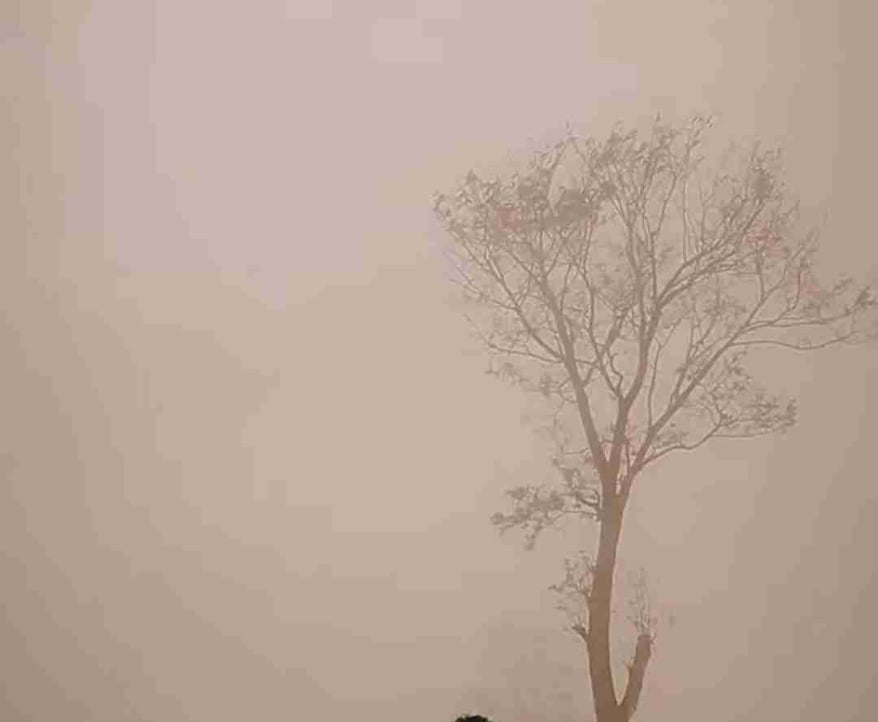 Shakil (shakilsk) Farcaster social identity (Fname handle) PFP