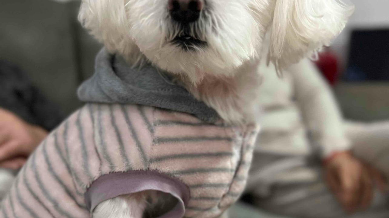 Cryptomask (cryptomask) Farcaster social identity (Fname handle) PFP