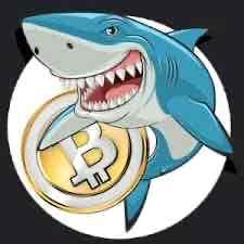 Coinshark (coinshark) Farcaster social identity (Fname handle) PFP