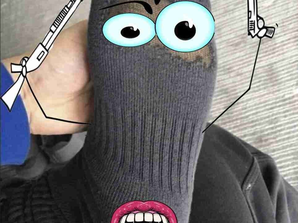 SOX pfp