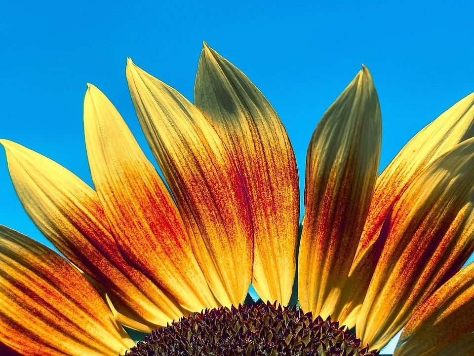 etrista (ekatronmi) Farcaster social identity (Fname handle) PFP