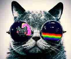 Dorothy Figueroa (dorothyfigueroa) Farcaster social identity (Fname handle) PFP