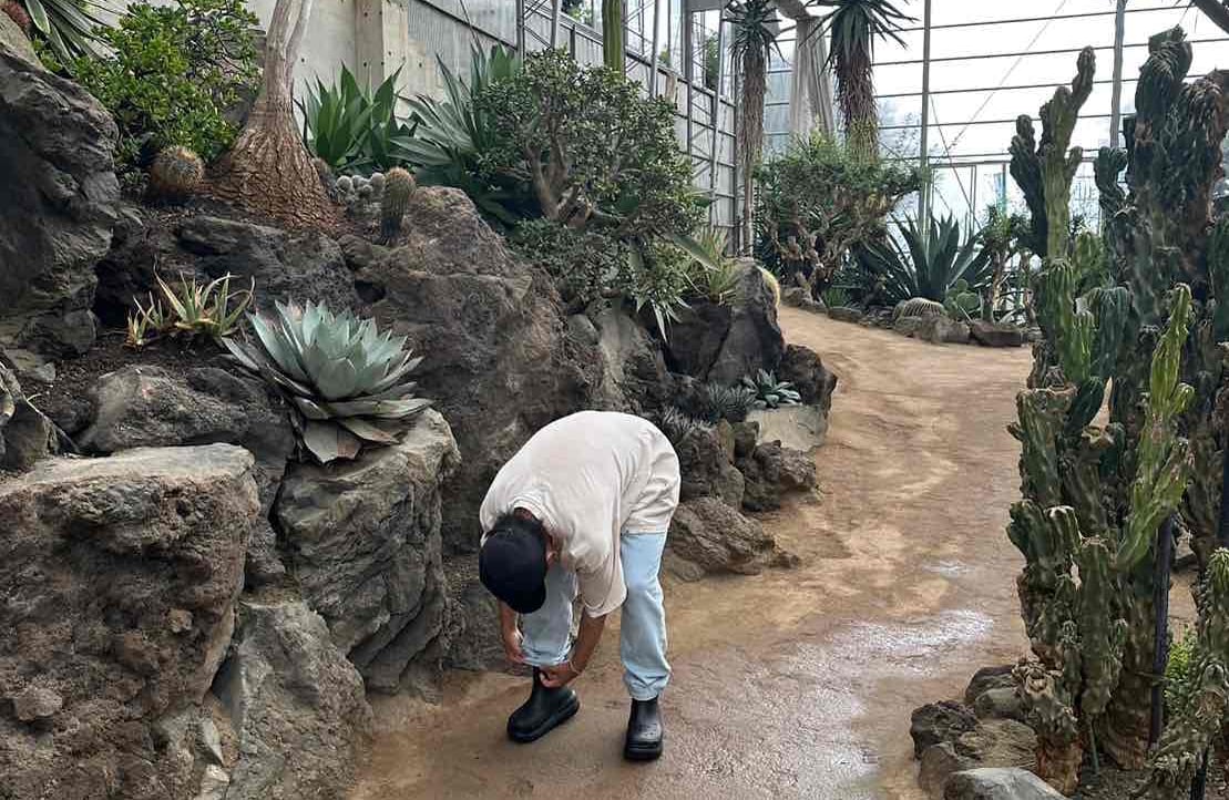 belongtheriam.lens Lens social identity (.lens handle) PFP