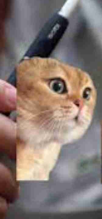 it4bsn.linea.eth Linea Name Service (.linea.eth domains) based on ENS PFP