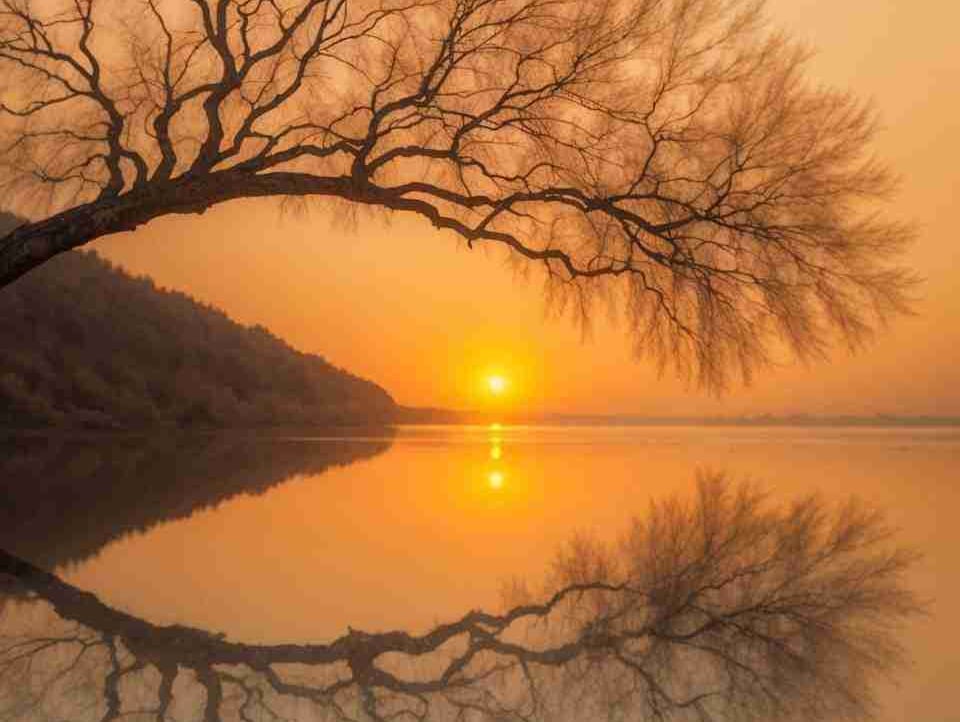 Taytis (taytis.lens) Lens social identity (.lens handle) PFP