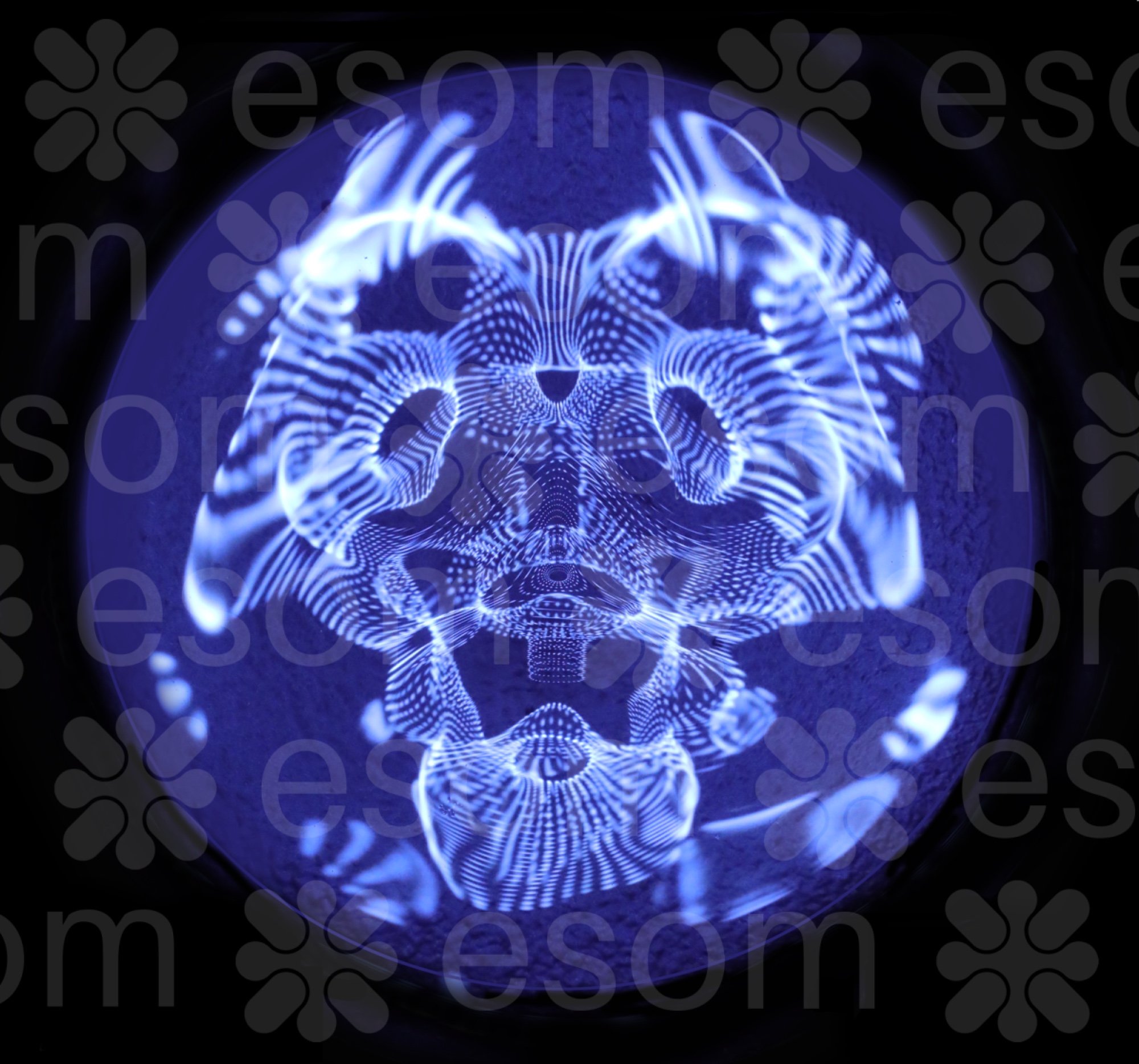 https://imagedelivery.net/BXluQx4ige9GuW0Ia56BHw/32d64dc9-8f1a-406b-f323-de04778ec100/original