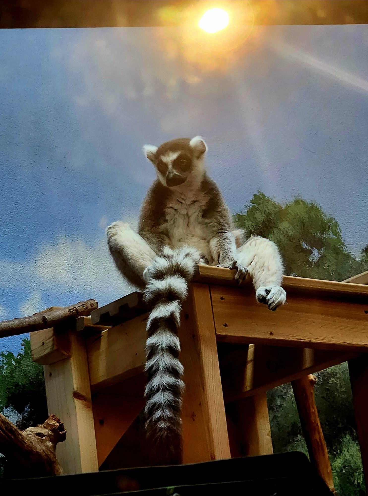 The God of Furry Porn