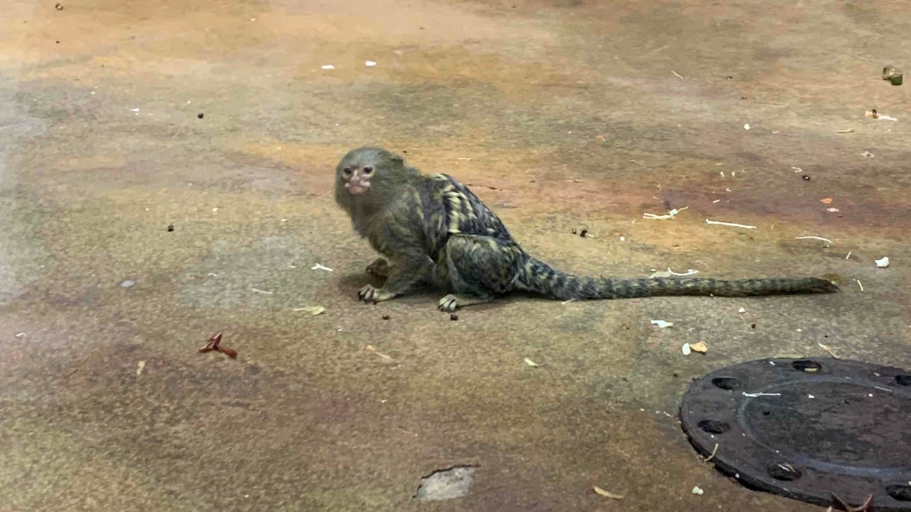 Noah (crystalechoes) Farcaster social identity (Fname handle) PFP