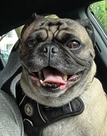 Frank