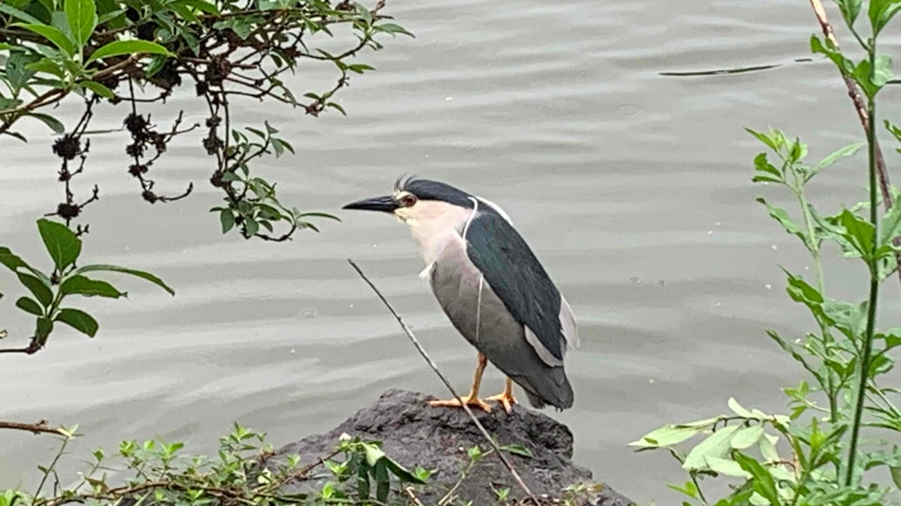 jayden (jayden16888) Farcaster social identity (Fname handle) PFP