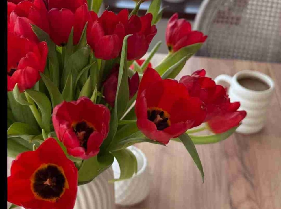 kennedyjr.lens Lens social identity (.lens handle) PFP