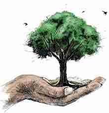 metadev.linea.eth Linea Name Service (.linea.eth domains) based on ENS PFP