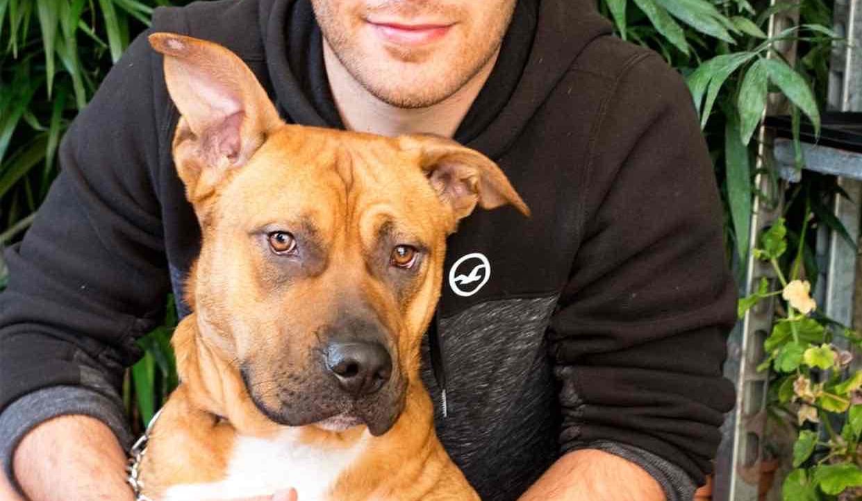 Will Cottrell (willcottrell) Farcaster social identity (Fname handle) PFP