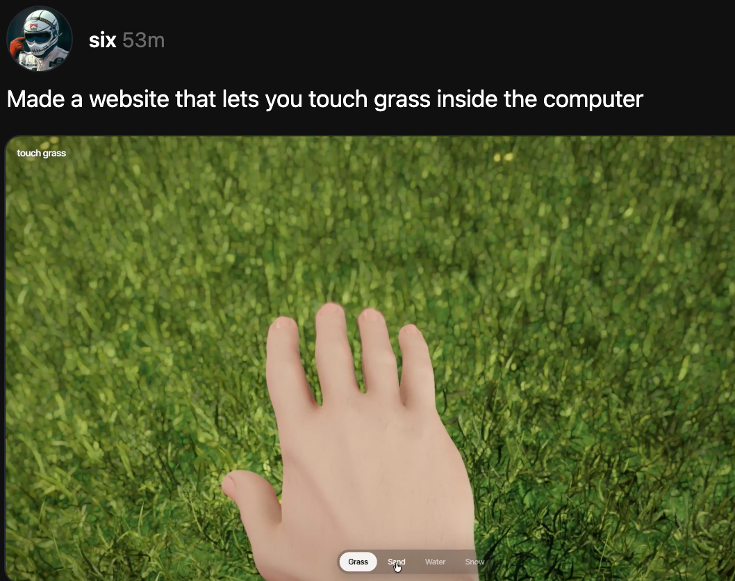 Touch Grass