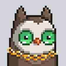 daraoktarahma (daraoktarahma.lens) Lens social identity (.lens handle) PFP