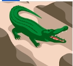 huangfeiying pfp