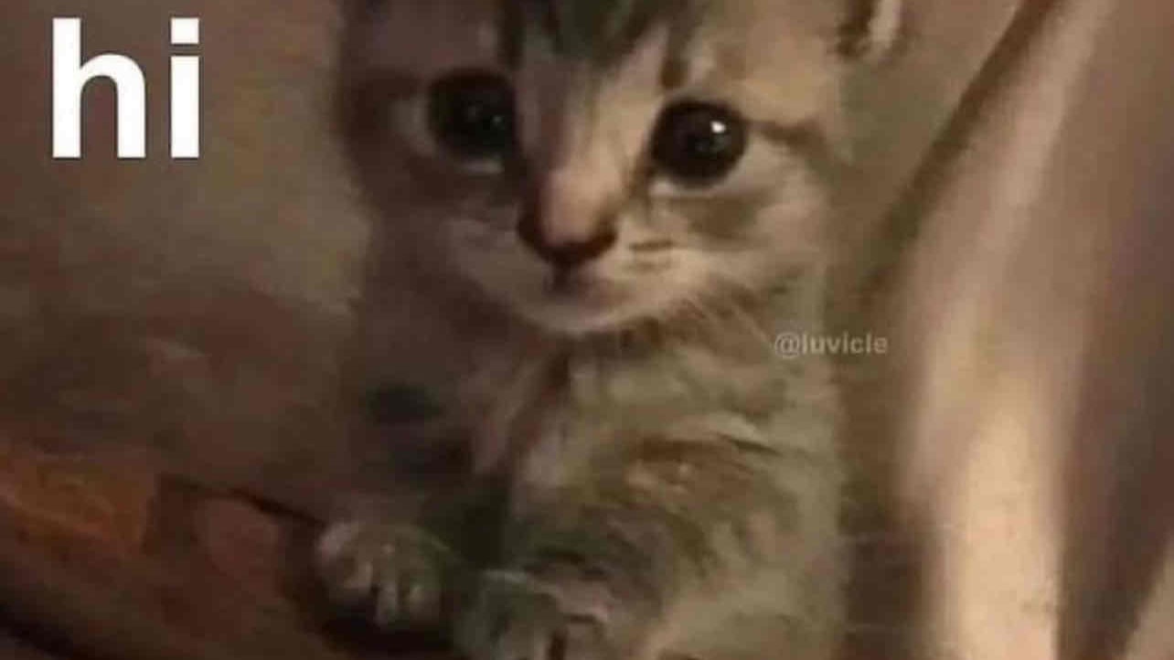 cryptobabyy pfp