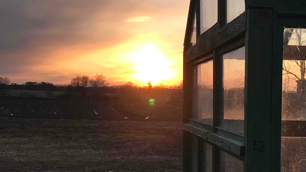 Marichka (marichko.lens) Lens social identity (.lens handle) PFP