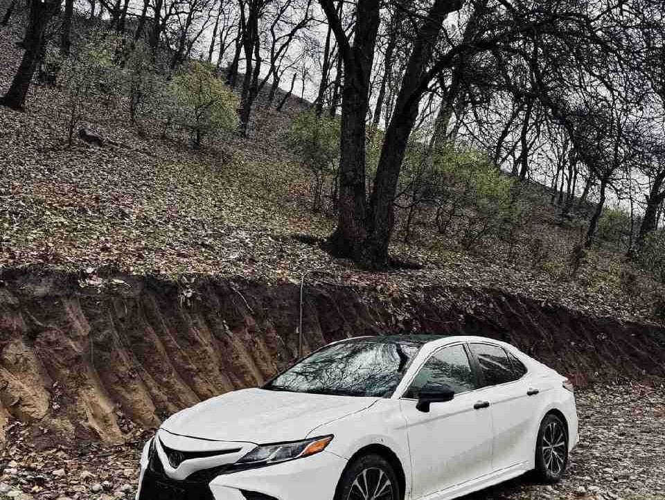 Tilekka (tileka.lens) Lens social identity (.lens handle) PFP