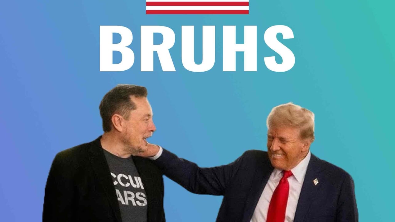 $BRUHS pfp