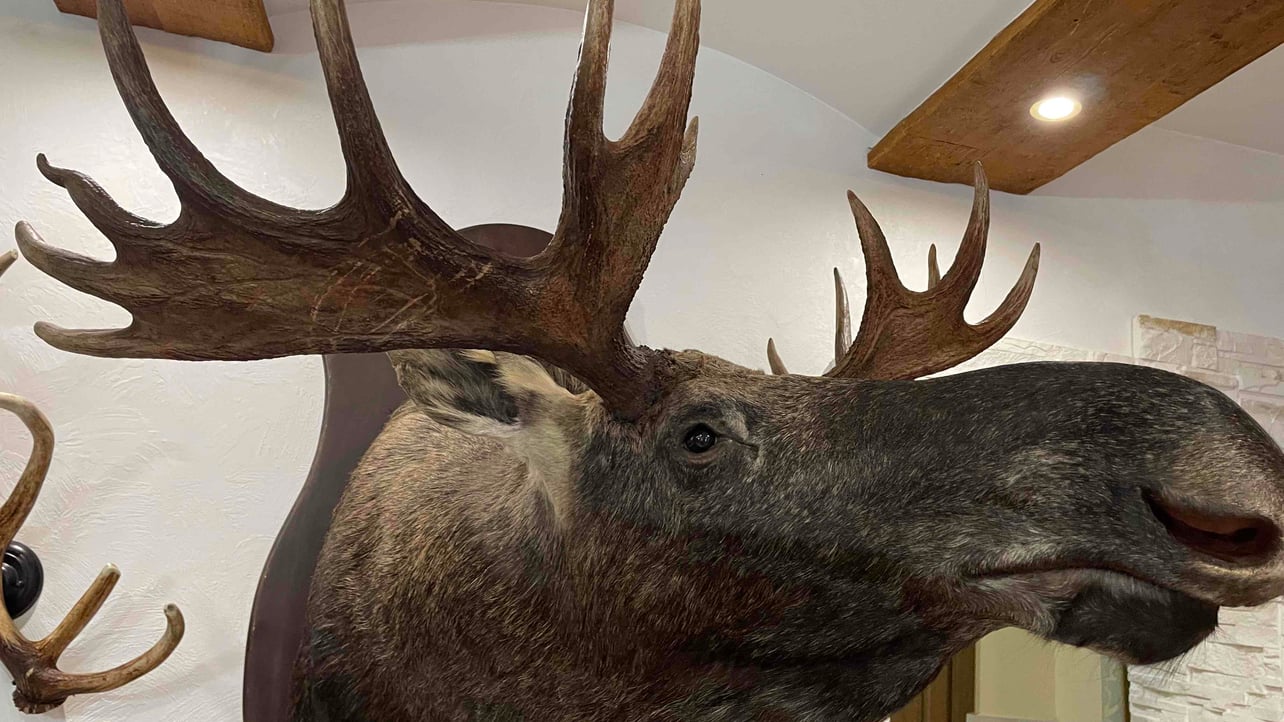 Denis (karlito) Farcaster social identity (Fname handle) PFP