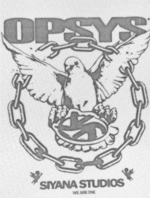 Cast image