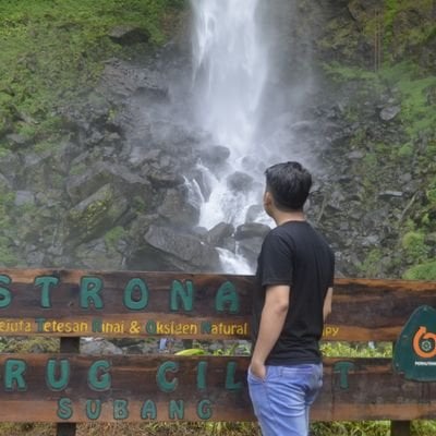 Yadi_sy pfp