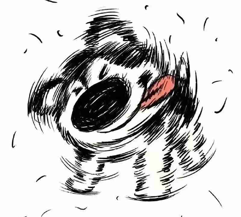 lilei.eth pfp