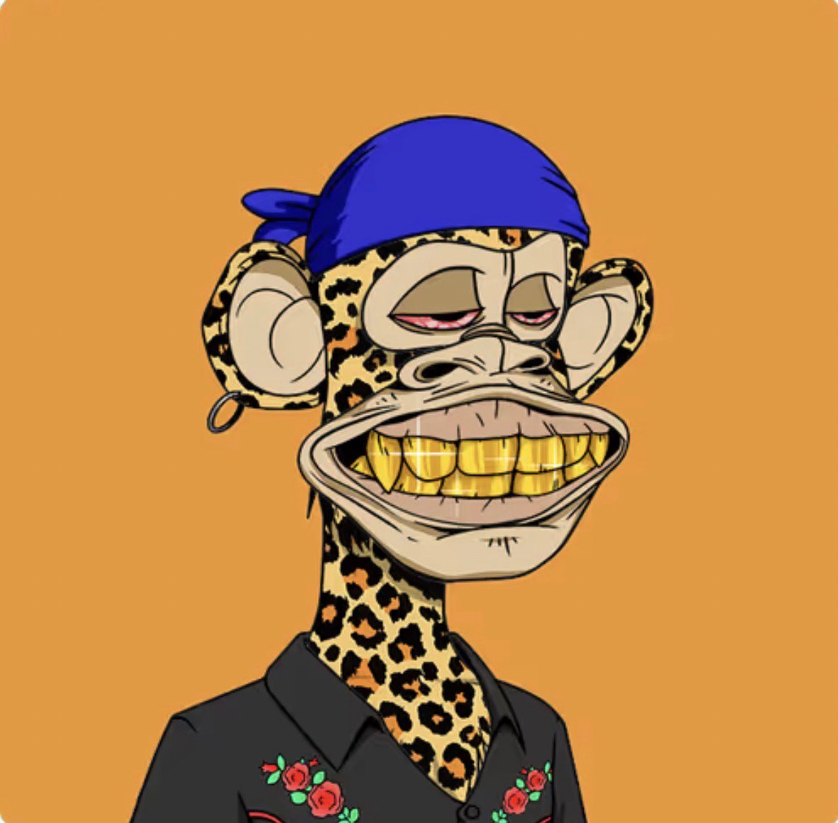 smallms562's Farcaster avatar