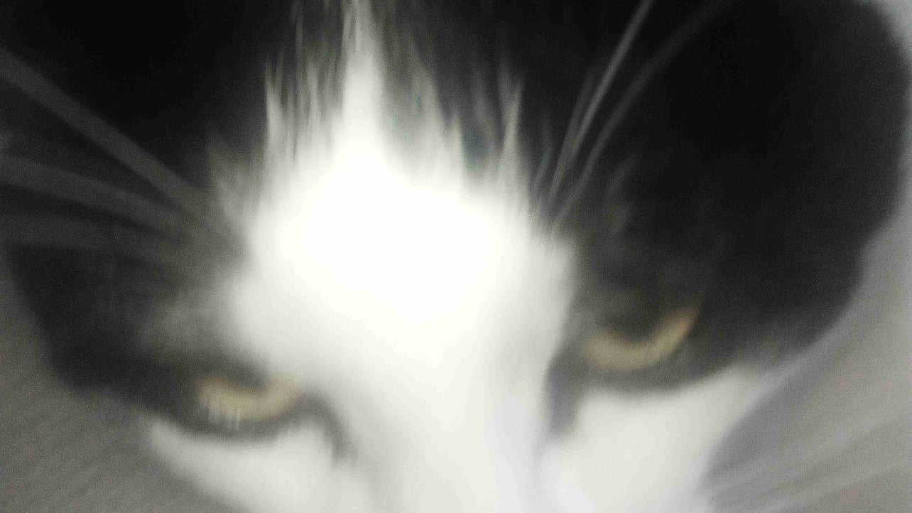 cryptoportals.base.eth Basenames (.base.eth domains) based on ENS PFP