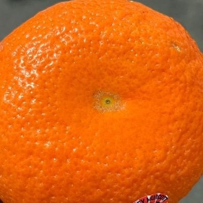 pablodon1 pfp