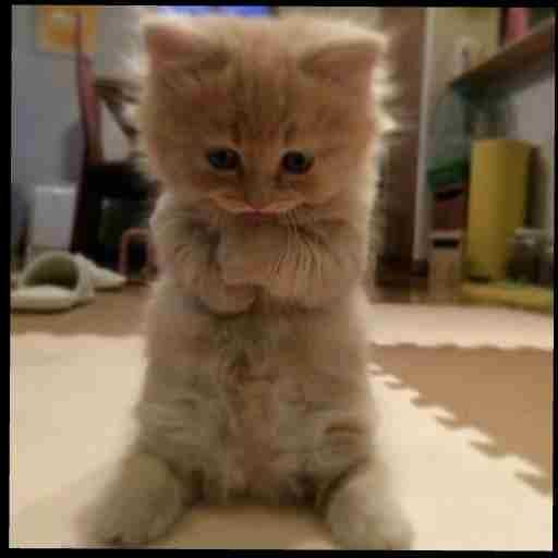 koltal04.lens Lens social identity (.lens handle) PFP