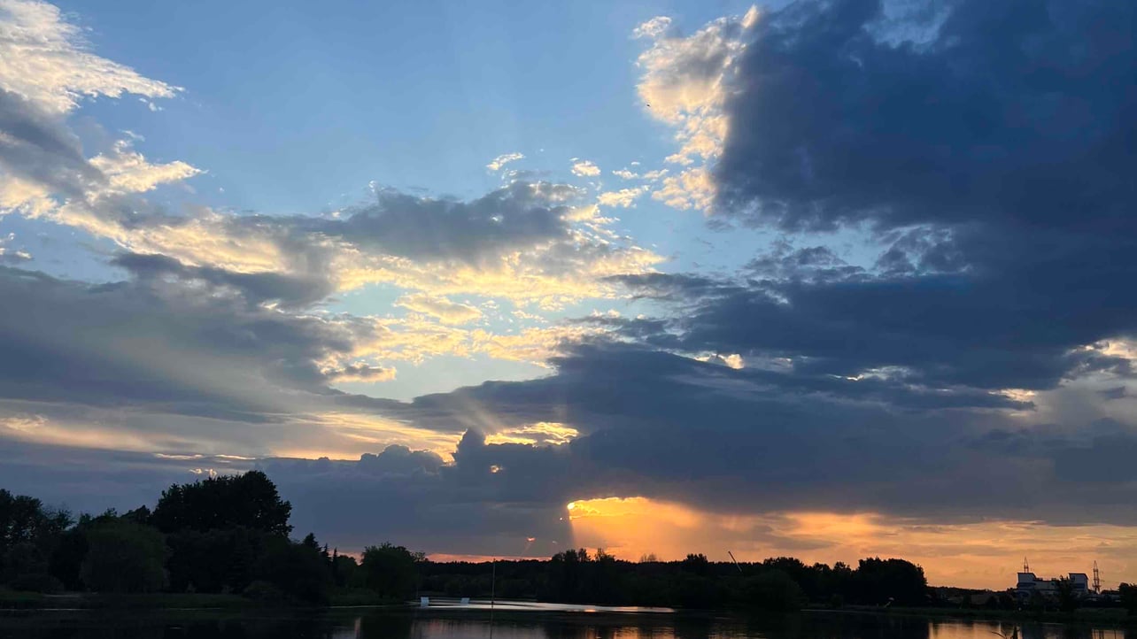 goos (goosy.lens) Lens social identity (.lens handle) PFP