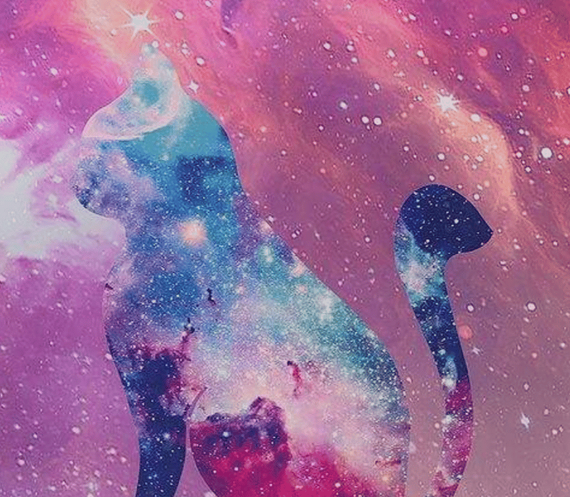 漫步人生路 (besthotdog.lens) Lens social identity (.lens handle) PFP