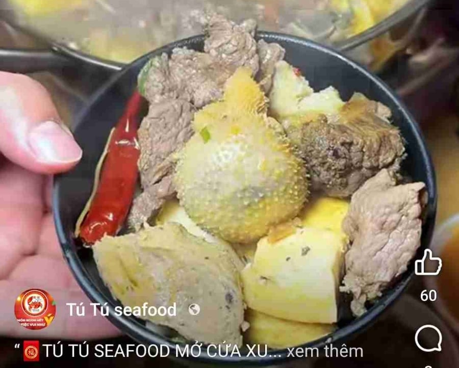 nguyentam386898 (tamnguyen7547.lens) Lens social identity (.lens handle) PFP