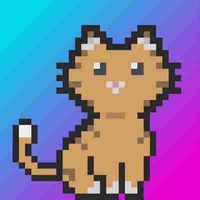 angarri (angarri.lens) Lens social identity (.lens handle) PFP