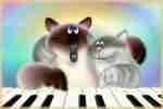 Sincerestep652 pfp
