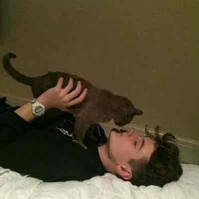 ysdcgy.lens Lens social identity (.lens handle) PFP