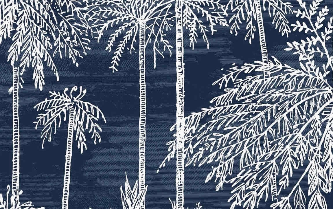 Diana (dusya) Farcaster social identity (Fname handle) PFP