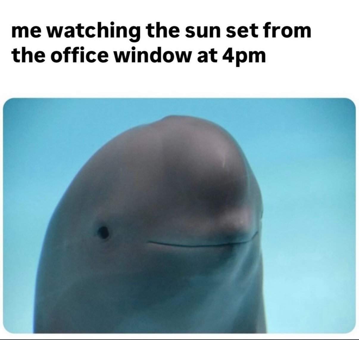 Embed from @nonlinear.eth