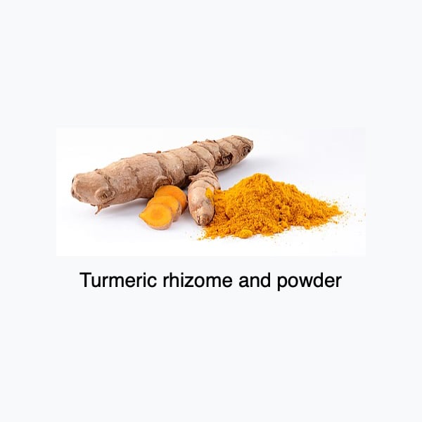 Turmeric