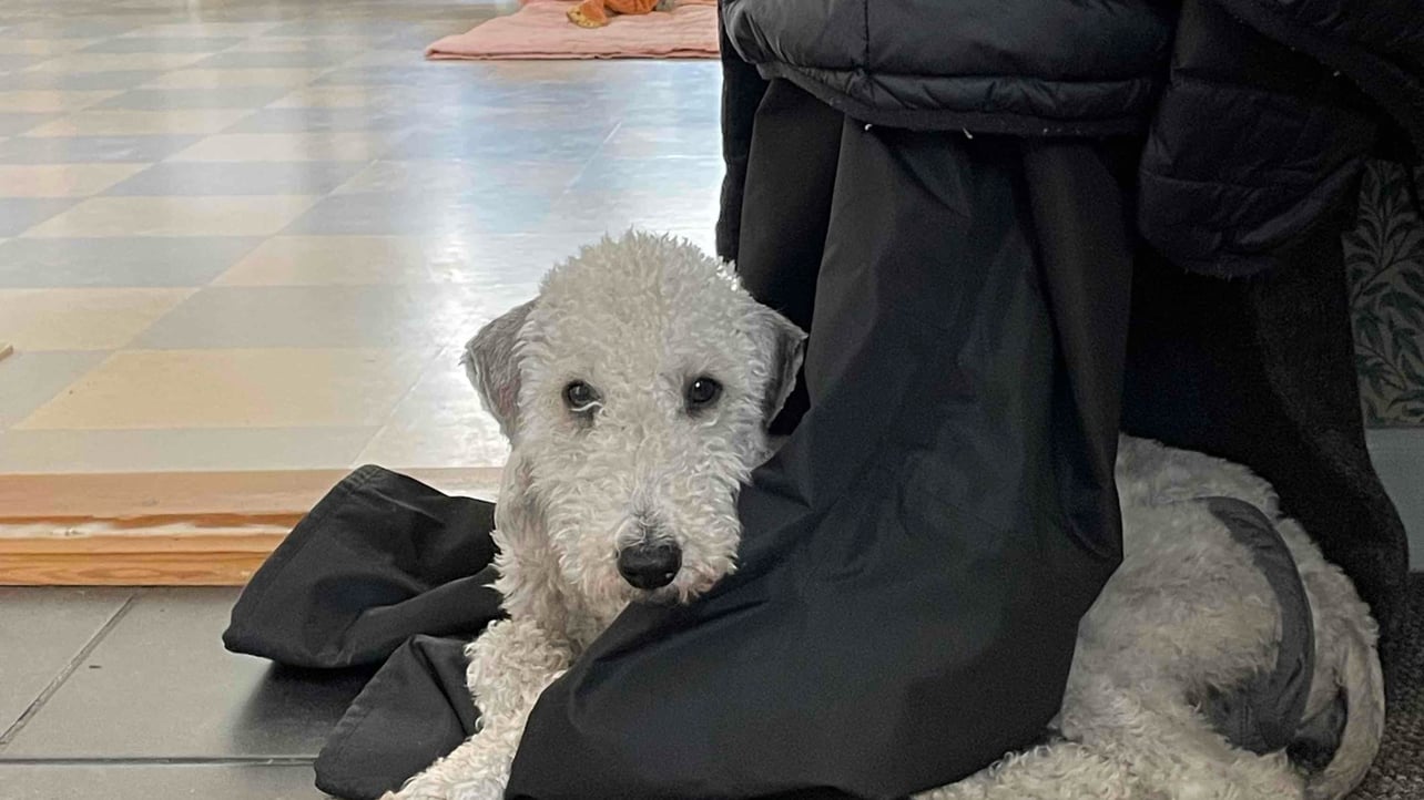 astananna Farcaster social identity (Fname handle) PFP