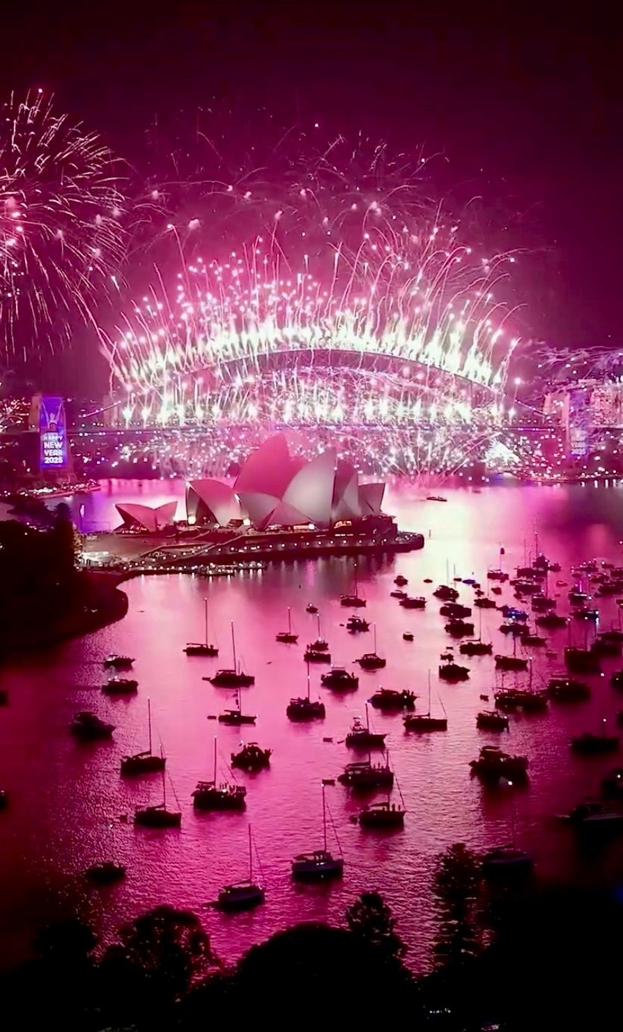 Embed from @reneecampbell