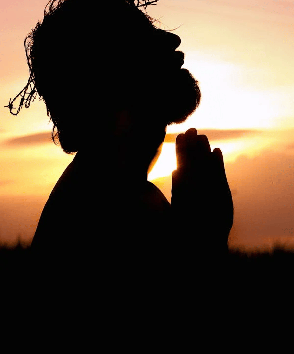 Brandong (brandong) Farcaster social identity (Fname handle) PFP